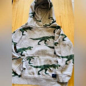 Grey youth Hooded sweatshirt w/ green dinosaur’s by H&M.